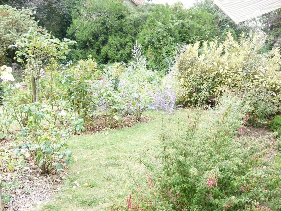 Clos Fleuri : Amboise Home With Amazing Gardens Ngoại thất bức ảnh